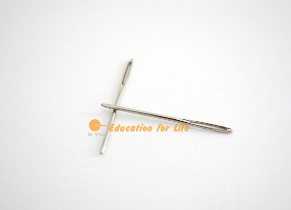 Needle