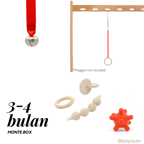 MonteBox 3-4 Bulan