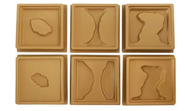 Land and Water Form Trays